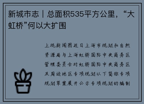 新城市志｜总面积535平方公里，“大虹桥”何以大扩围